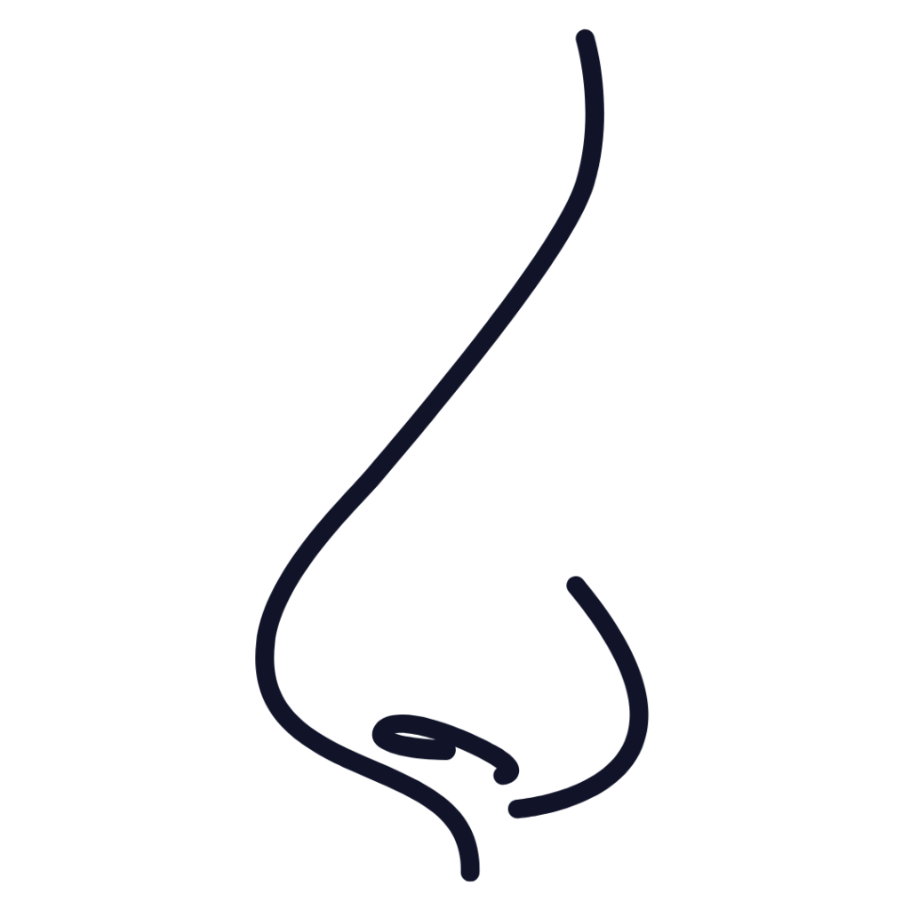 Rhinoplasty